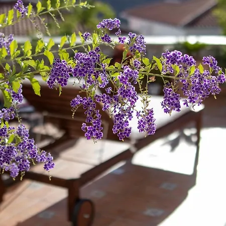 Malaga Hills Double Comfort Boutique & Wellness Eco-hotel -adults Only- Hotel