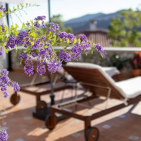 Malaga Hills Double Comfort Boutique & Wellness Eco-hotel -adults Only- Hotel