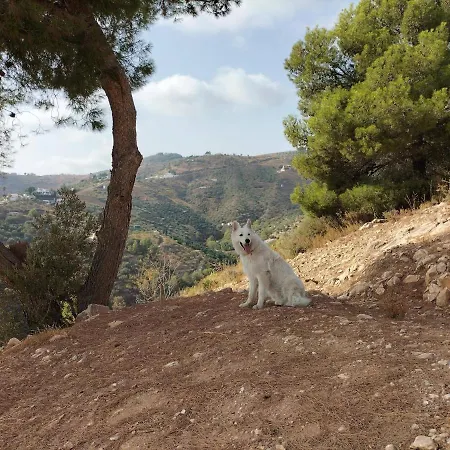 호텔 Malaga Hills Double Comfort Boutique & Wellness Eco-hotel -adults Only- 콤페타