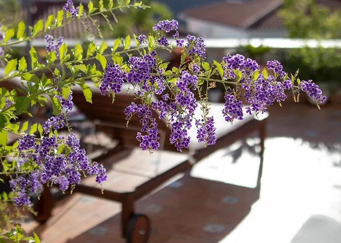 Malaga Hills Boutique Wellness And Hikers Eco-Hotel Adults Only מלון