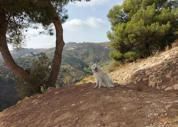 מלון Malaga Hills Boutique Wellness And Hikers Eco-Hotel Adults Only Cómpeta